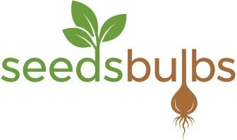 seeds bulbs